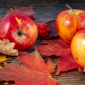 Duni PD Tissue Napkins 20 Stück - Autumn Apples (33 x 33 cm)